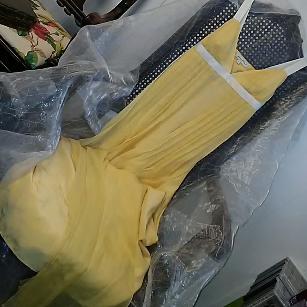 Jonovich-Hawk Silk Long Dress Size 6